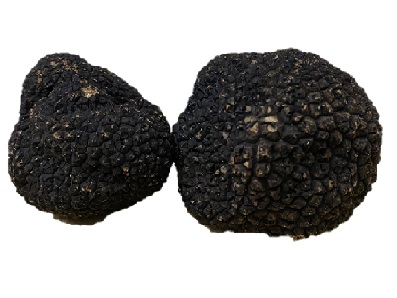 C ｲﾀﾘｱ産 ﾌﾚｯｼｭ 黒ﾄﾘﾌ・　約100g