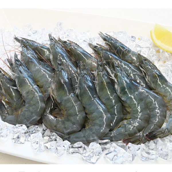 ﾆﾁﾚｲ 冷凍 ぷるるん生えび 30尾・　1kg